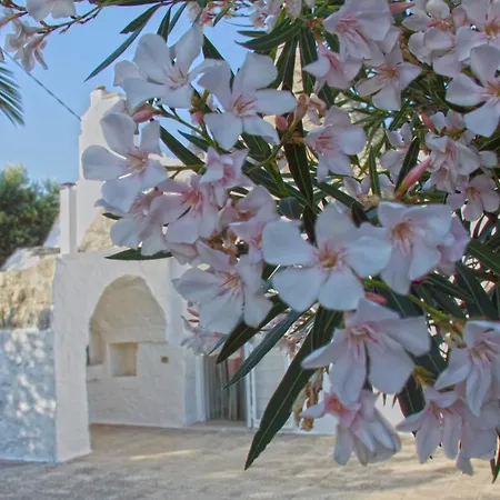 Trulli Del Sole Donato Cisternino