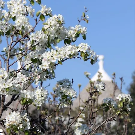 Trulli Del Sole Donato Holiday home